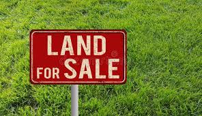 A Land Measuring 2600sqm Joint Venture for Sale Lekki Lagos Vetra  Property
